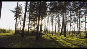 Илон Маск ставит это видео на репит - и мы знаем причину! - Pastures -- Ketsa -- As Above So Below