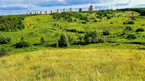 Вести с полей, теперь точно всё, хватит.