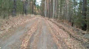 2020окт18-5 осень сормовских песков 5