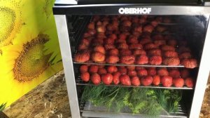 Заготовки на зиму. Готовлю клубнику в дегидраторе. Огородная кулинария.