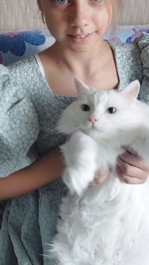 тренд правдо для котят 😅 но всё ровно🐱🐈