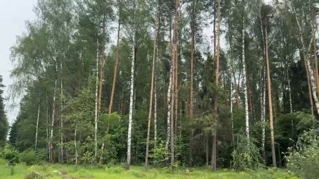 Участки Ярославское шоссе