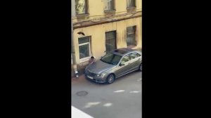 Как вороны друг за друга стоят ВОРОНЫ ДРУГ-ЗА ДРУГА РЕШИЛИ НАКАЗАТЬ ДЯДИЧКУ