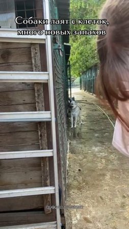 Страшно возможно выйти в ряд