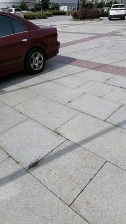 Плитка где-то