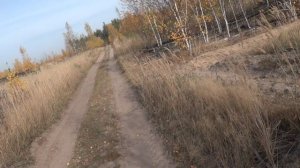 2020окт11-6 осень сормовских болот 6