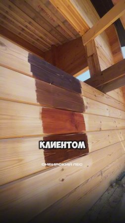 Подбор цвета для дома из бруса