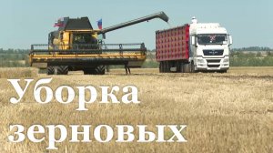 В Республике стартовала уборочная кампания зерновых культур