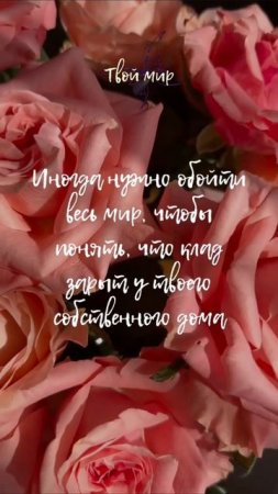 Иногда нужно обойти весь мир, чтобы понять, что клад зарыт у твоего собственного дома
✨✨✨✨✨✨