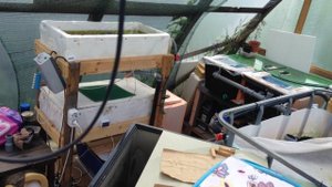 Перестановка у сомиков со скоростью звука ч1