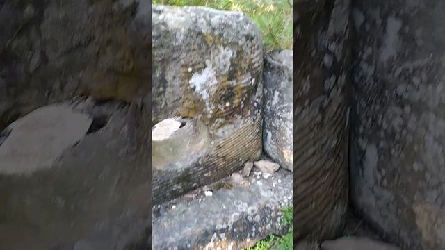 Полосатый ДОЛЬМЕН нашёл на тропе здоровья в Архипо-Осиповке на Чёрном море