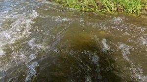 Сплав на сапе с папой 2025// Шаманка-Пионерск VLOG