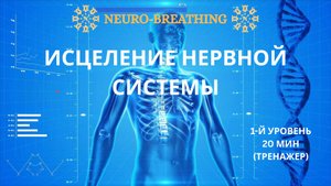 Исцеление нервной системы. Нейродыхание. Онлайн-тренажер с тета-ритмами