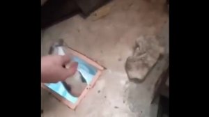 Рыбалка с комфортом