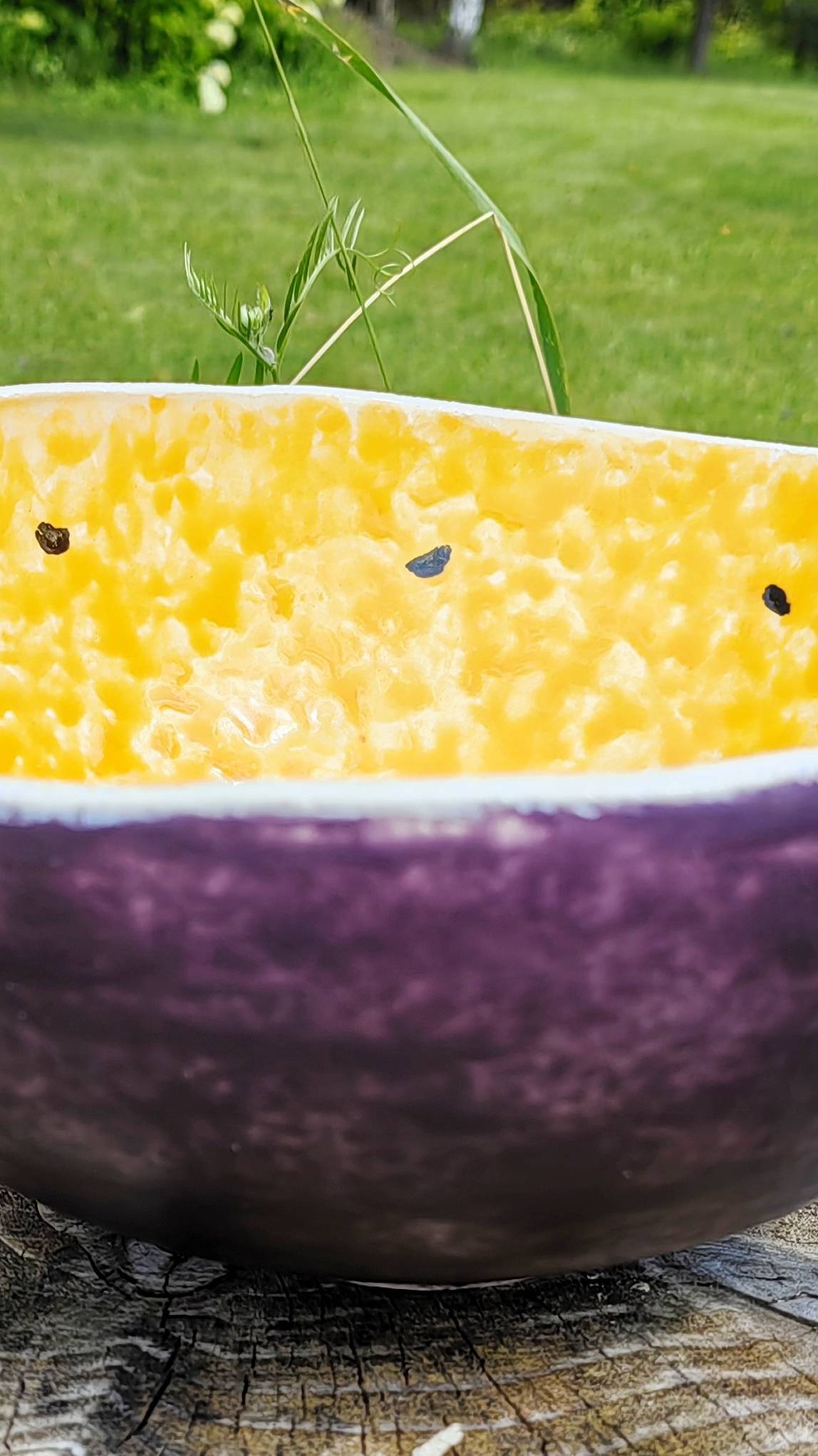 Фруктовница/салатник "Маракуйя"