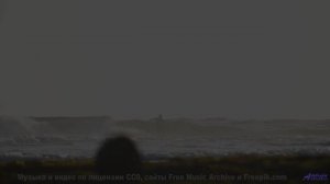 Леса и поля раскрываются под эту мелодию - Dreams -- HoliznaPATREON -- Orphaned Media