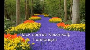 Самые красивые и знаменитые сады в мире