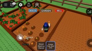 вырасти сад  в Roblox часть 2