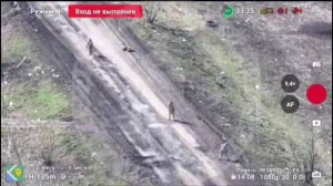 🔴Сафари на хряков в Сумской области🔴