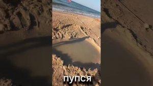 🌊 Море и еще раз море , на этот раз Азовское 🏝️

Отдыхали с удовольствием / с моими 💕 любимыми