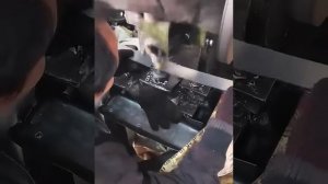 SKILLистые работяги