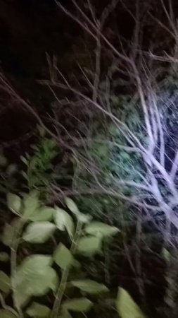 1000685154.mp4
