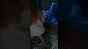 Папа с дочей играют в прятки😁🥰👨👩👧Таисия, мама и папа в эфире ❤️ ИЮНЬ25