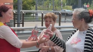 Стало известно, когда в Москве будет пик аномальной жары / События на ТВЦ
