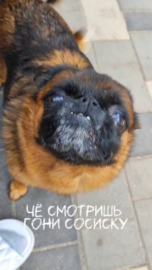 Банда "Бони"