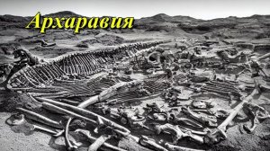 Архаравия