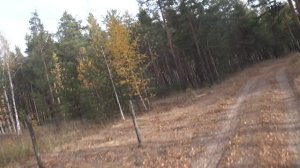 2020окт11-3 осень сормовских болот 3