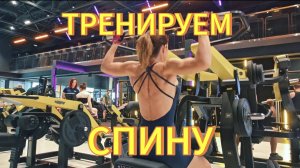 КАЧАЕМ СПИНУ В ЗАЛЕ