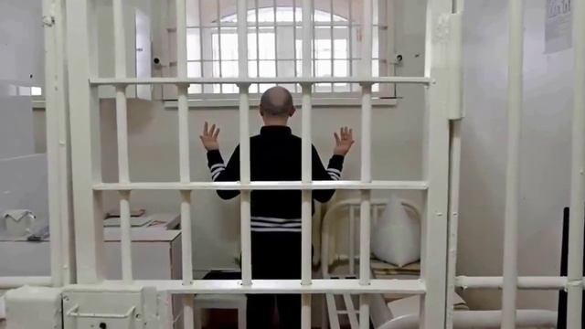 Полярная сова