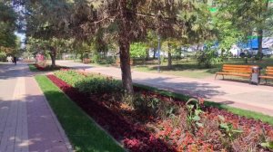 В Белгород пришла жара 09.07.25.