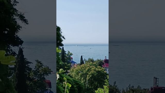МОРЮШКО 🌊 😍