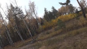 2020окт11-5 осень сормовских болот 5