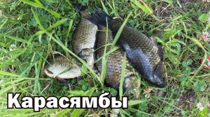 Рыбалка на Карасямбы 2025