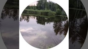 рыбалка начинается.mp4