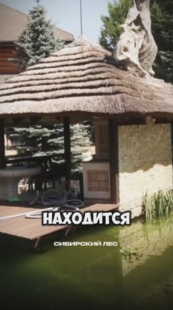 Эксклюзивная беседка с драконом
