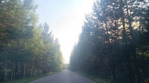 Мызино 8.07.2025..+30