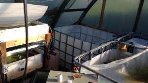 Перестановка у сомиков ч2