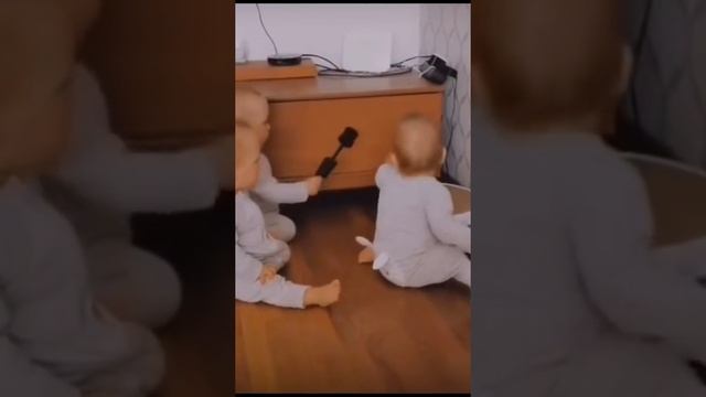 Животные приколы и не только