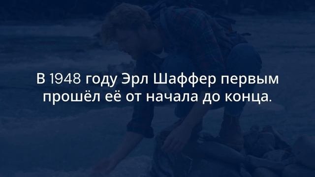 сделайте это видео популярным