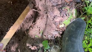 Тест Garrett Vortex Чешуя на глубине