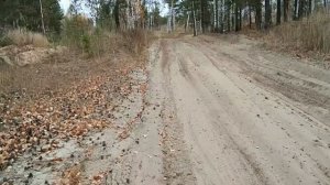 2020окт18-4 осень сормовских песков 4