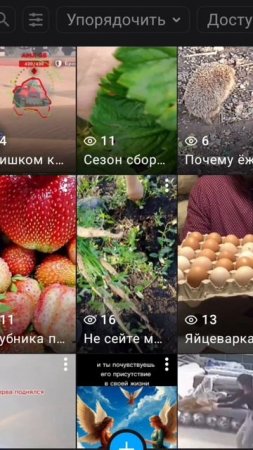 Мой доход в день от монетизации на Рутубе.
