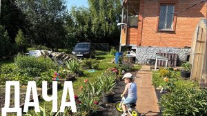ДАЧА 6-7 ИЮЛЯ 2025.