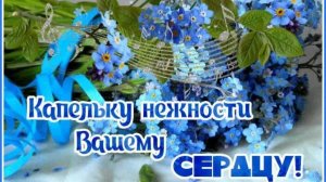 С ДОБРЫМ УТРОМ! А НА ТОМ БЕРЕГУ НЕЗАБУДКИ ЦВЕТУТ...