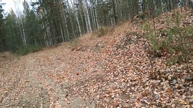 2020окт18-3 осень сормовских песков 3