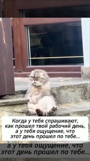 Прошёл день